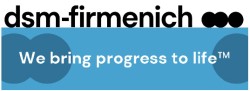 DSM-Firmenich